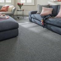 Sisal Carpets