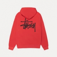 stussy hoodie