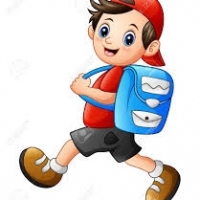 Robinsanon Junior