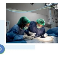 gynecologists