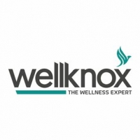 Digitalwellknox
