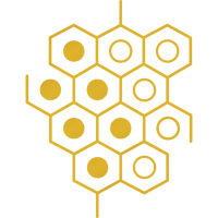 Derma tech polyclinic