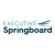 Executive Springboard LLC