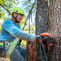 treeremoval123