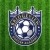 Bridge View Soccer