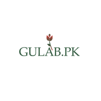 Gulab PK